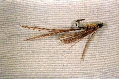 K18 - Ken's Black & Yellow Wasp - $5